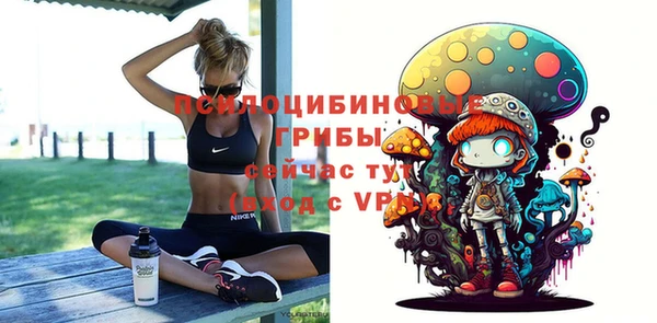 гашик Балабаново