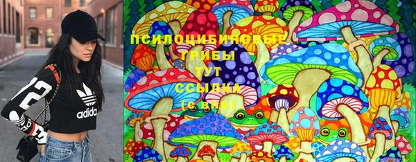 гашик Баксан