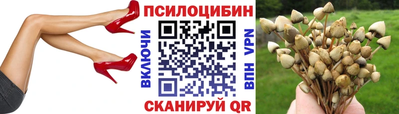 Псилоцибиновые грибы MAGIC MUSHROOMS  купить  сайты  Новая Ладога 